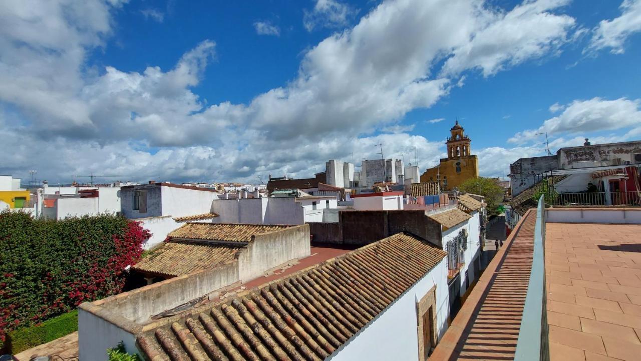 Patio Del Lino